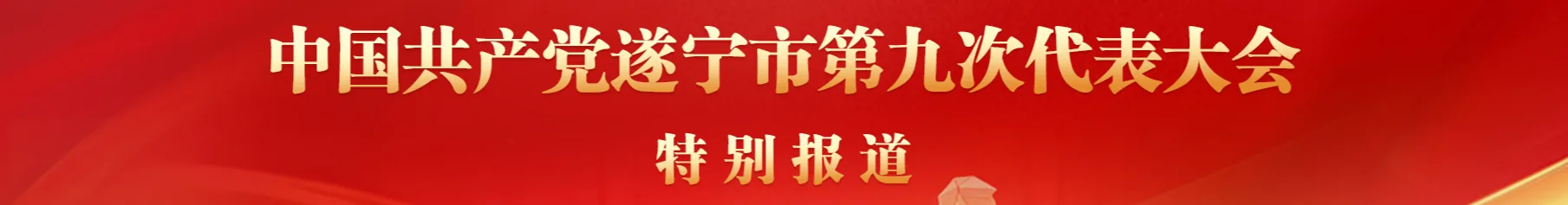 专题报道